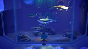 haifisch_aquarium